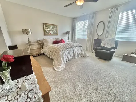 1074 Chestnut Drive Pingree Grove IL 60140