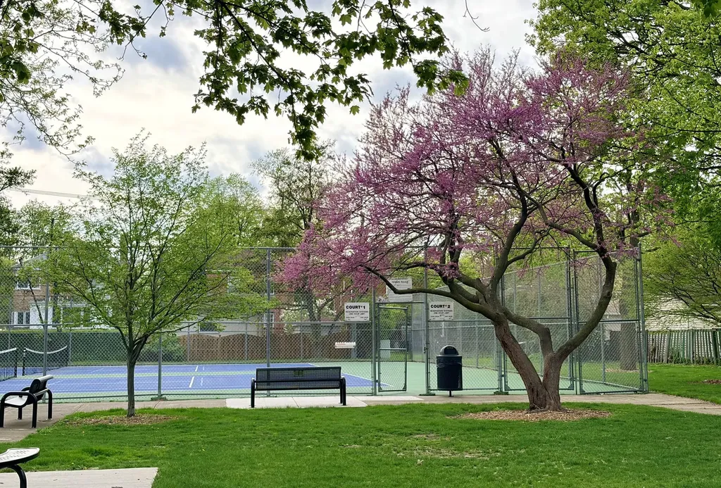 8144 Keystone Avenue Skokie IL 60076