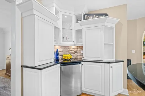 504 Alexandria Drive Naperville IL 60565