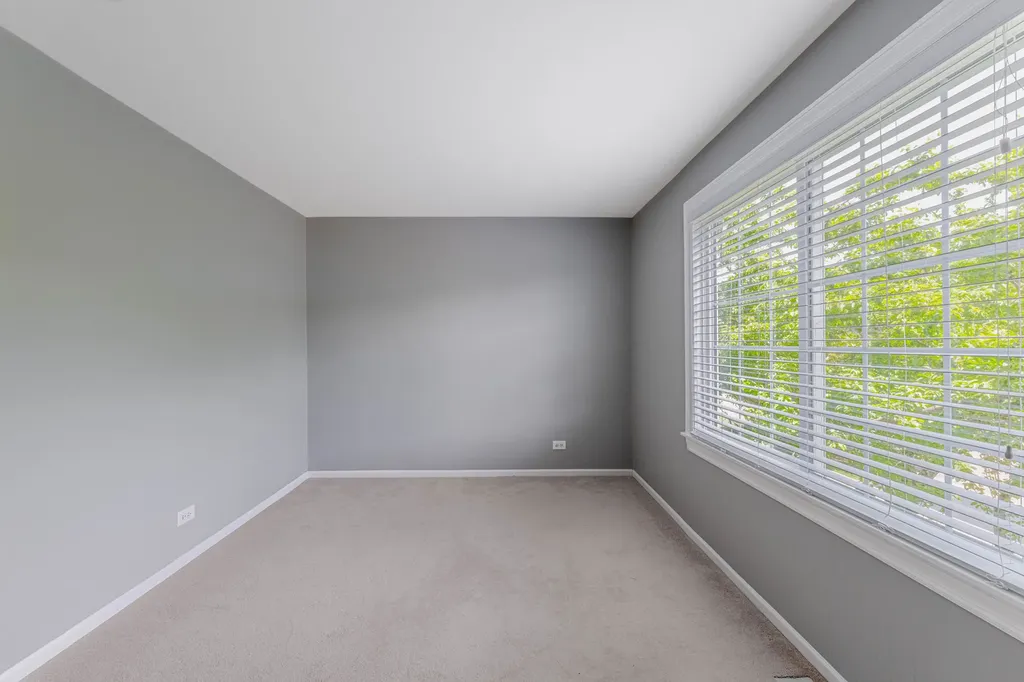 1371 East Braymore Circle Naperville IL 60564