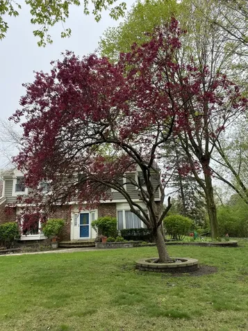 5544 Oak Grove Drive Long Grove IL 60047