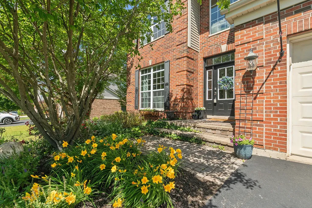 230 Ian Avenue New Lenox IL 60451