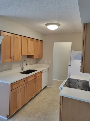 2640 Pirate Cove Schaumburg IL 60173
