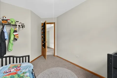 1432 Red Top Lane Minooka IL 60447