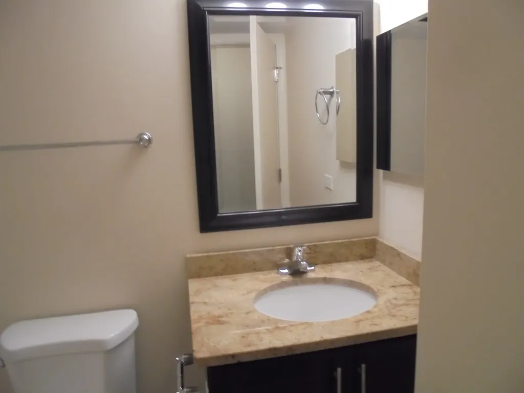 137 Manchester Court Schaumburg IL 60193