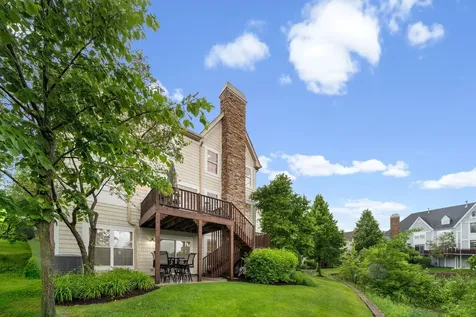 20431 North Joshua Court Deer Park IL 60010