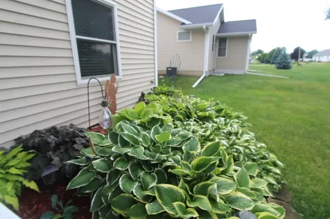 1117 6TH Avenue Fulton IL 61252