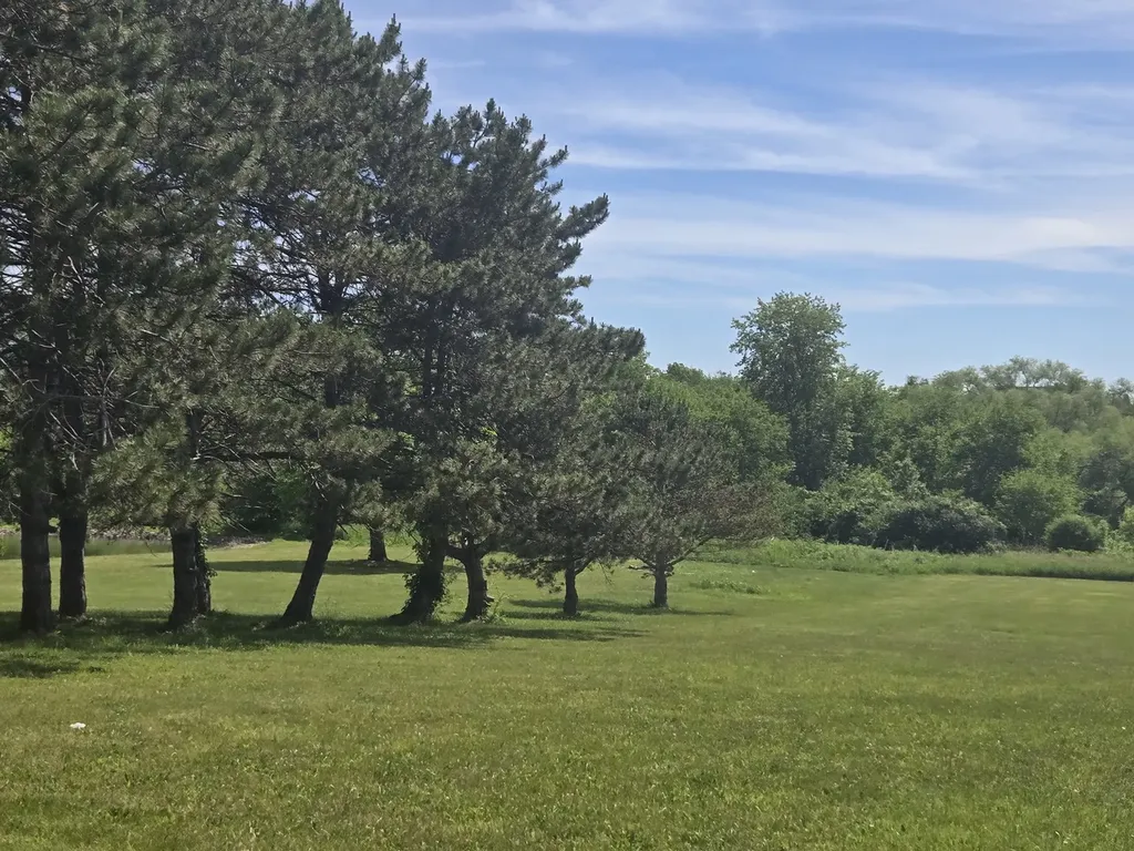 17823 Haas Road Mokena IL 60448