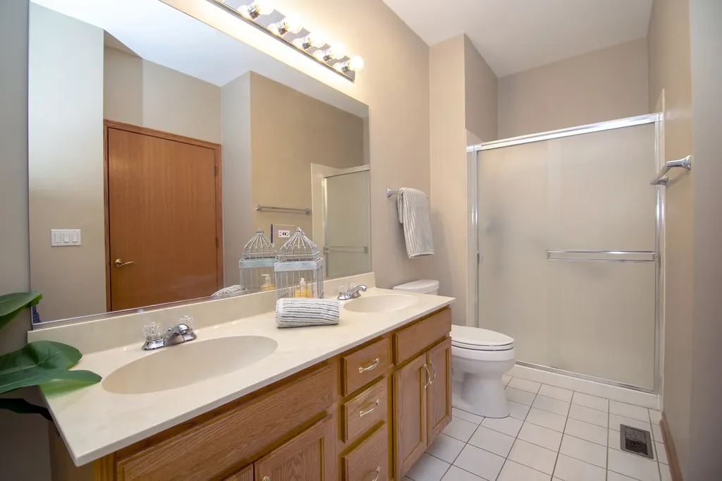 13161 South Carlisle Court Plainfield IL 60544