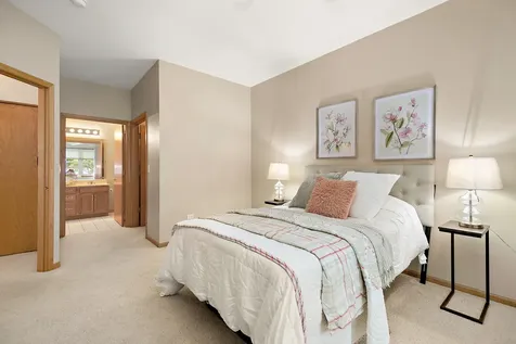 13161 South Carlisle Court Plainfield IL 60544