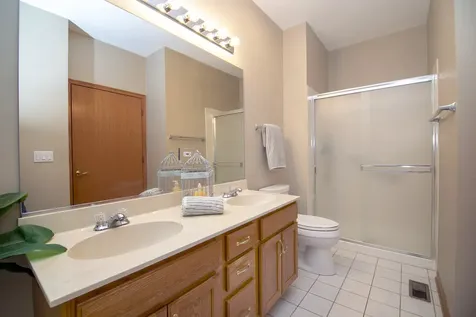 13161 South Carlisle Court Plainfield IL 60544