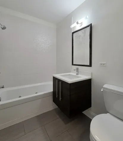 1537 North Orleans Avenue Chicago IL 60610