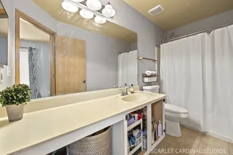 14018 Emerald Court Plainfield IL 60544