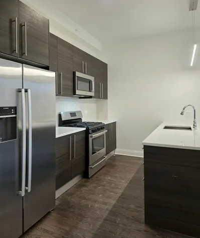 1537 North Orleans Avenue Chicago IL 60610