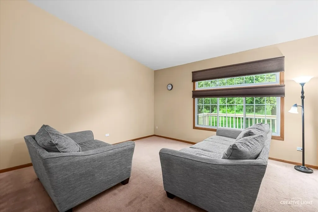 23117 Judith Court Plainfield IL 60586