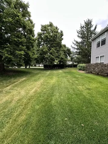 1346 Brunswick Court Elgin IL 60120
