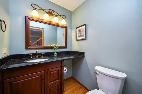 1210 Robin Drive Elk Grove Village IL 60007