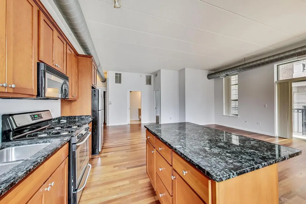 1919 South Michigan Avenue Chicago IL 60616