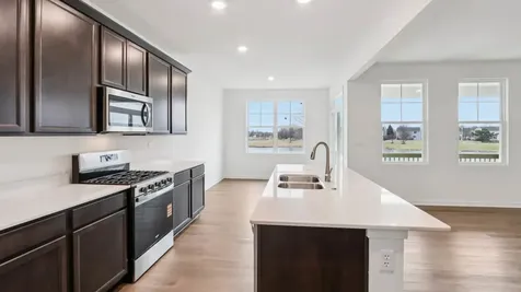 284 Snowdrop Lane Elgin IL 60124