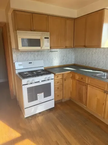 5038 North Mango Avenue Chicago IL 60630