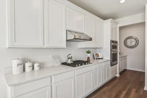 282 Snowdrop Lane Elgin IL 60124