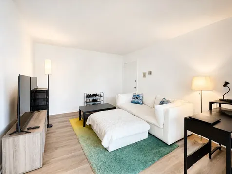 10115 Old Orchard Court Skokie IL 60076