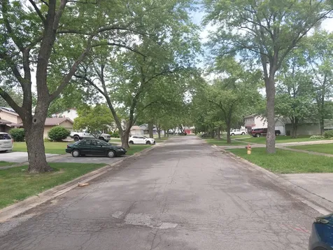 1029 Ashridge Lane University Park IL 60466