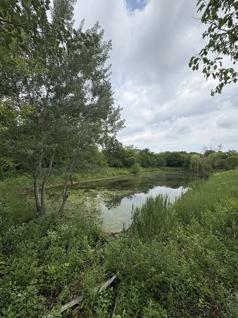 237 Aspen Drive Bolingbrook IL 60440