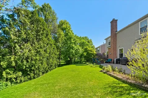 1164 Dorr Drive Sugar Grove IL 60554