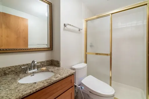 604 South Laflin Street Chicago IL 60607