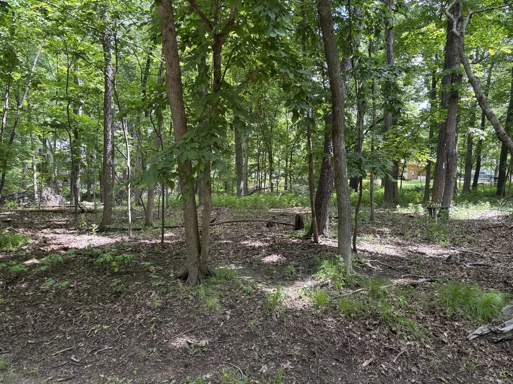 1101/1102 Jay Court Varna IL 61375