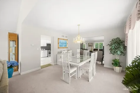 13021 Holmes Drive Palos Park IL 60464