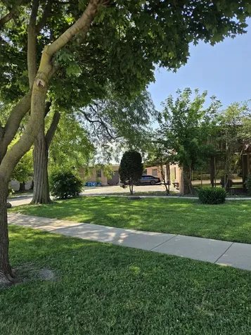 237 East Prospect Avenue Mount Prospect IL 60056