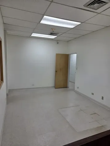 237 East Prospect Avenue Mount Prospect IL 60056