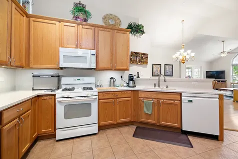 16021 South Messenger Circle Homer Glen IL 60491