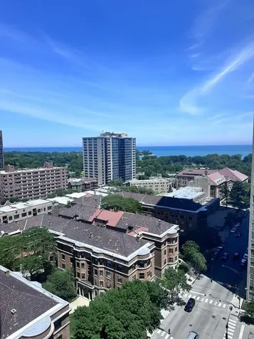 3930 North Pine Grove Avenue Chicago IL 60613