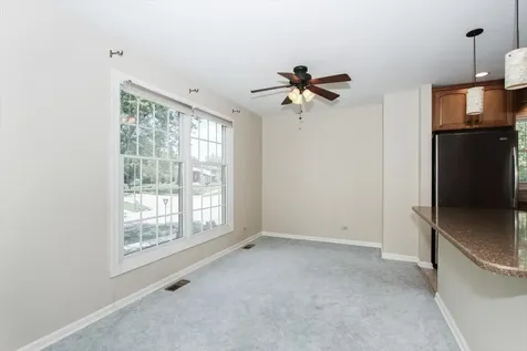 249 Langton Drive Bloomingdale IL 60108