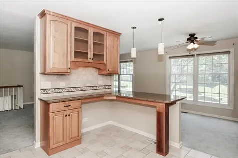 249 Langton Drive Bloomingdale IL 60108