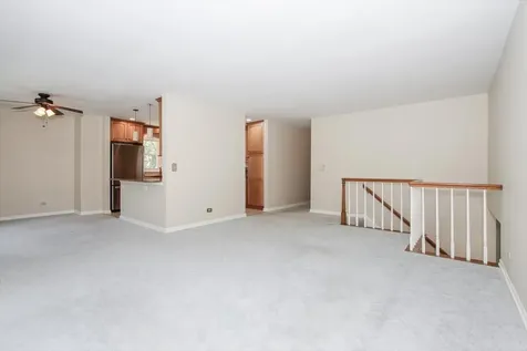 249 Langton Drive Bloomingdale IL 60108