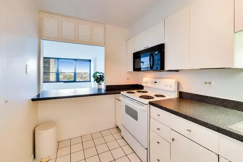 1560 North Sandburg Terrace Chicago IL 60610