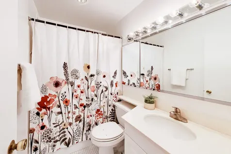 1560 North Sandburg Terrace Chicago IL 60610