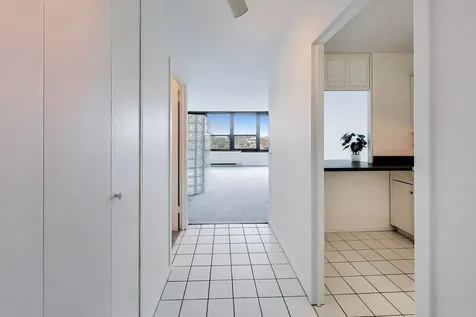 1560 North Sandburg Terrace Chicago IL 60610
