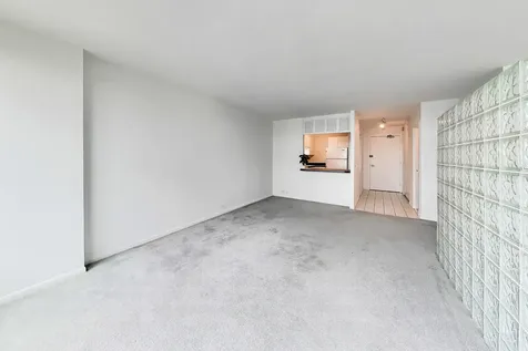 1560 North Sandburg Terrace Chicago IL 60610