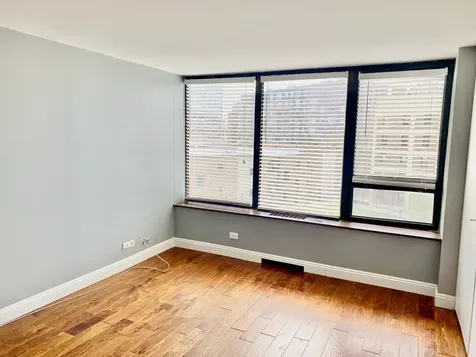 3930 North Pine Grove Avenue Chicago IL 60613
