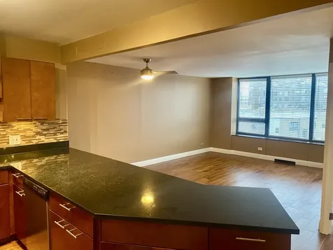 3930 North Pine Grove Avenue Chicago IL 60613