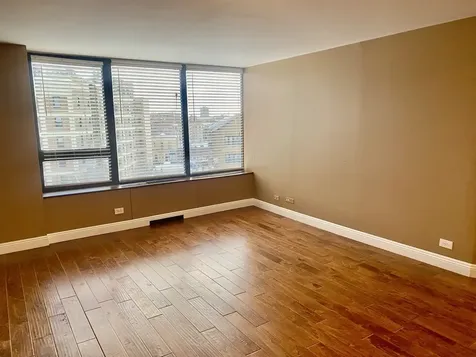 3930 North Pine Grove Avenue Chicago IL 60613