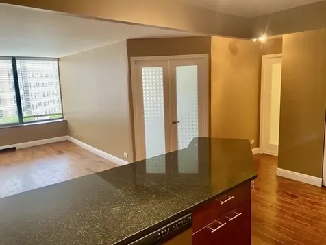 3930 North Pine Grove Avenue Chicago IL 60613