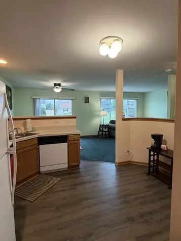 641 Chestnut Ridge Minooka IL 60447