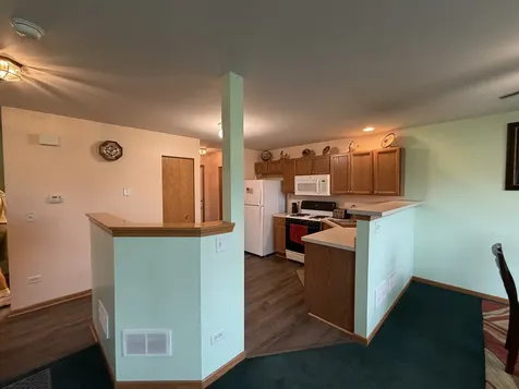 641 Chestnut Ridge Minooka IL 60447