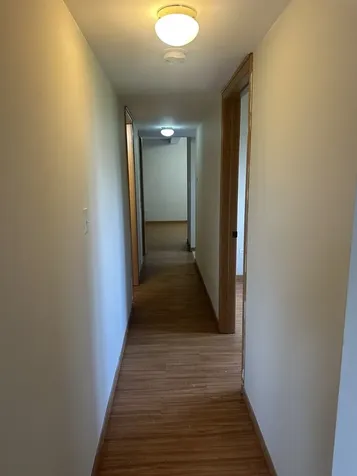 239 West 18th Street Chicago IL 60616